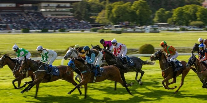 Sponsor Spotlight: The name of the game? Football! 1 Racing and Sports discusses the best strategies to heaighten the appeal of horse racing among younger players.